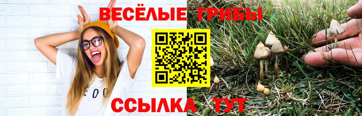 Псилоцибиновые грибы ЛСД  Вход с VPN  Галлюциногенные грибы MAGIC MUSHROOMS  Ярославль 